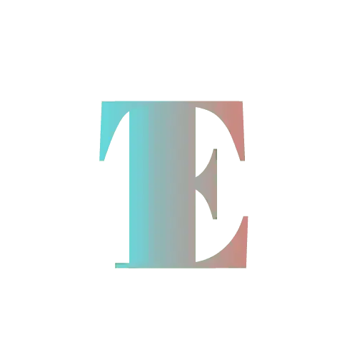 EmNet Web & SEO AEO Logo icon